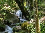 Huerta Vieja